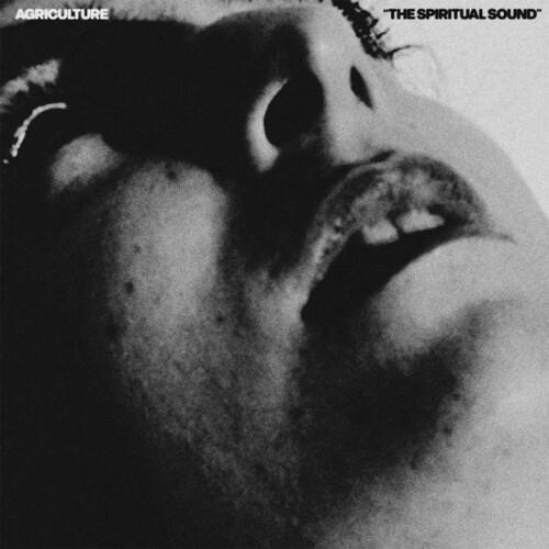 The Spiritual Sound - Vinyl LP