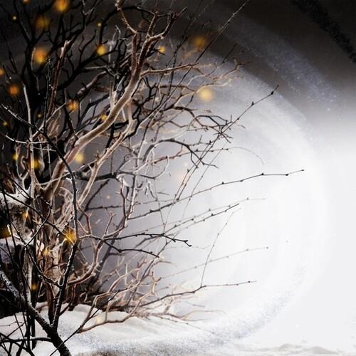 Winterlight - Vinyl LP