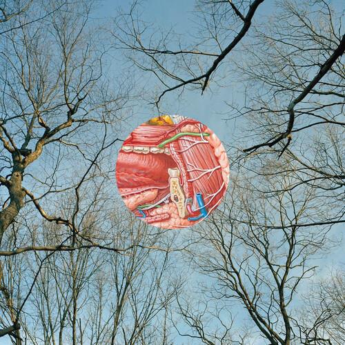 Glean - Vinyl LP (Red)