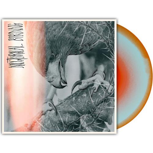 Nocturnal Birding - Vinyl LP