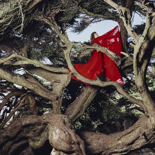 Nested In Tangles - Vinyl LP (Red)