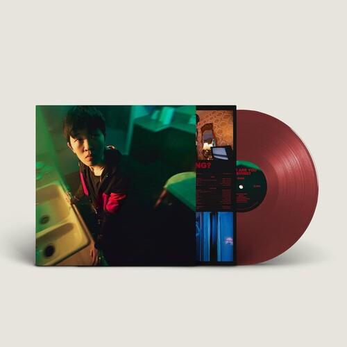 When Are You Leaving? - Vinyl LP (Red)