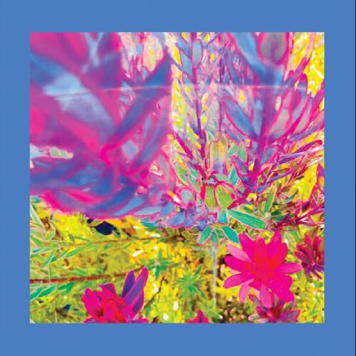 The Past is a Garden I Never Fed - Vinyl LP (Blue)