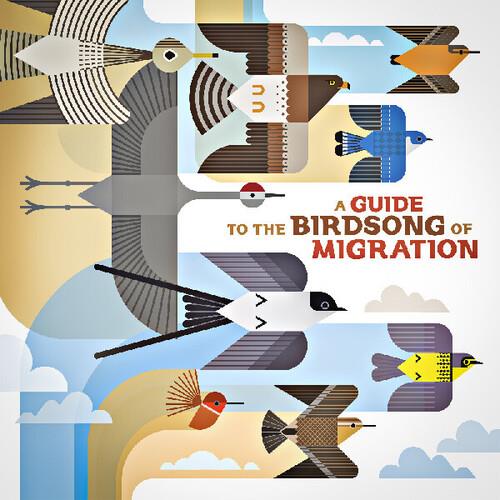 Vinyl LP cover featuring stylized illustrations of various birds in flight against a blue and beige