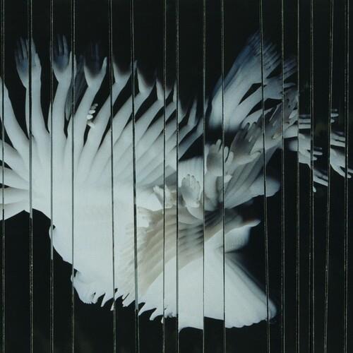 Endlessly - Vinyl LP