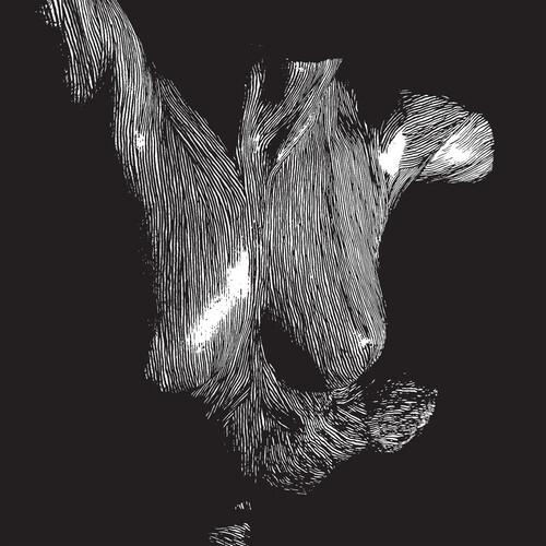 Self Preserved While The Bodies Float Up - Anniversary Edition Vinyl LP