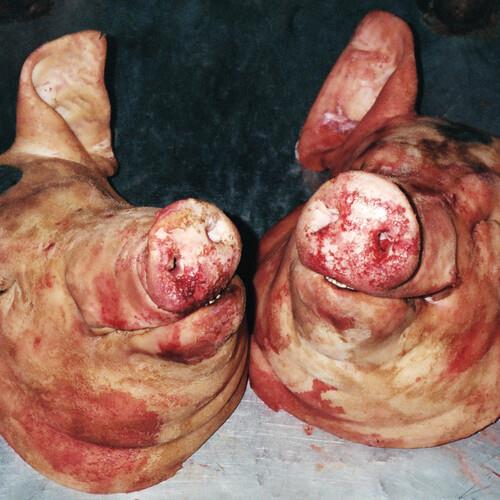 Haram - Vinyl LP