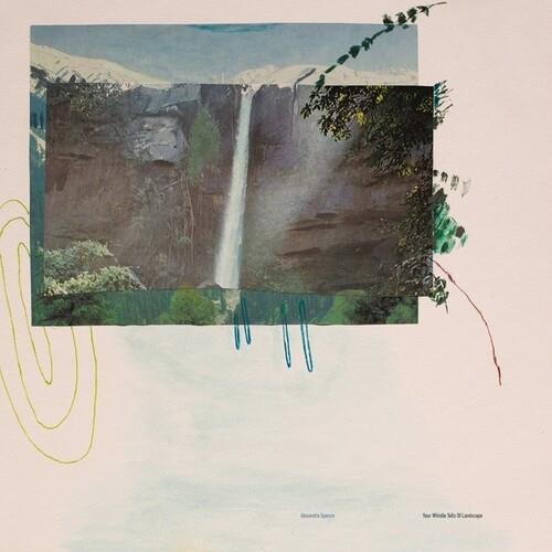 Your Whistle Tells Of Landscape - Vinyl LP