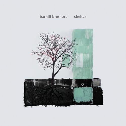 Shelter - Vinyl LP