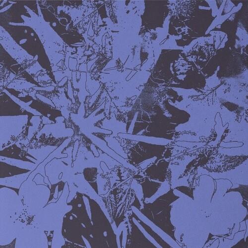 Forest Dwellers - Vinyl LP