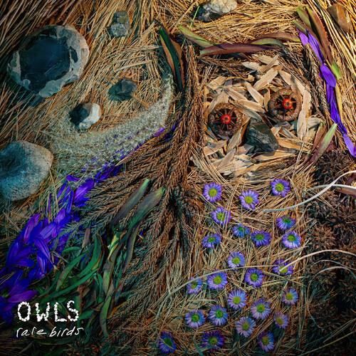 Rare Birds - Vinyl LP (Black)