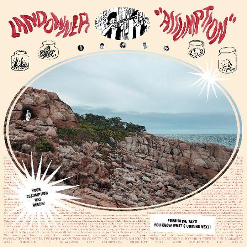 Assumption - Vinyl LP