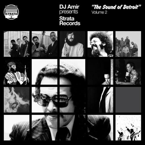 Dj Amir Presents Strata Records: The Sound Of Detroit Vol. 2 - Vinyl LP