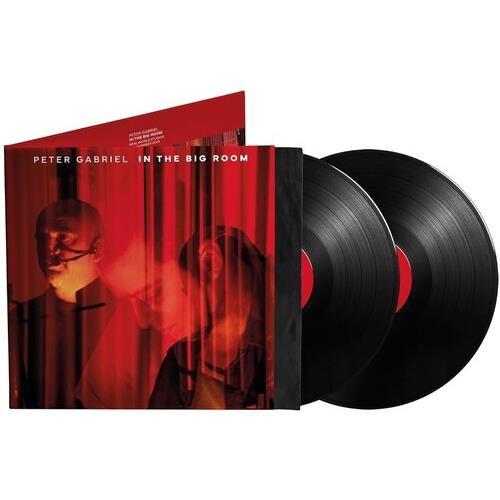 In The Big Room - Vinyl LP