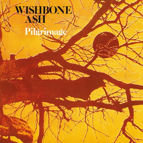 Pilgrimage - Vinyl LP 180 Gram