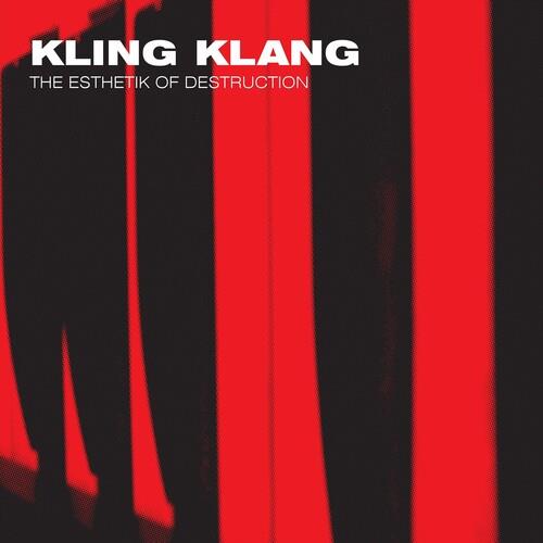 Esthetik Of Destruction - Vinyl LP (Black)