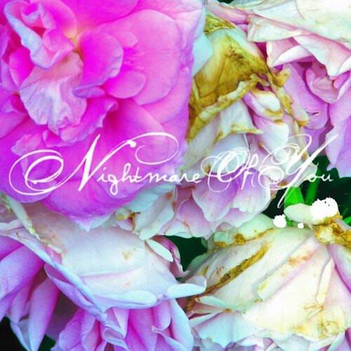 Nightmare Of You - Vinyl LP
