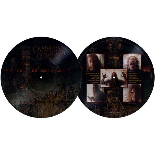 A Skeletal Domain - Vinyl LP