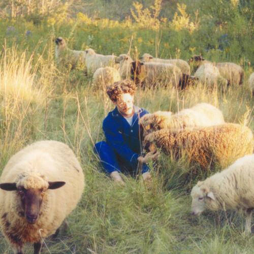 Themes for Dreams - Vinyl LP
