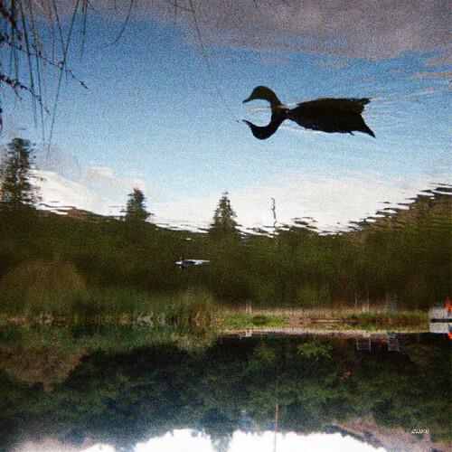 antagonist - Vinyl LP