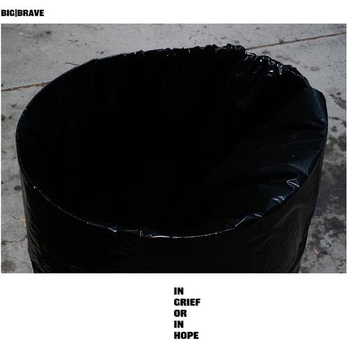in grief or in hope - Vinyl LP