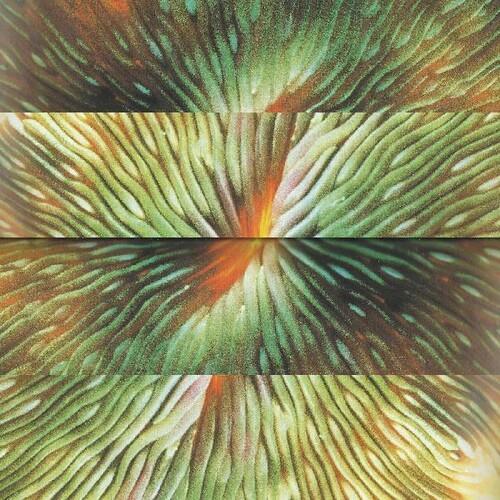 Mirroring - Vinyl LP