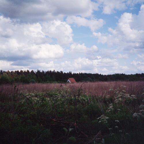 Sung - Vinyl LP