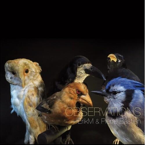 Vinyl LP cover featuring a barn owl, blue jay, and other birds against a black background