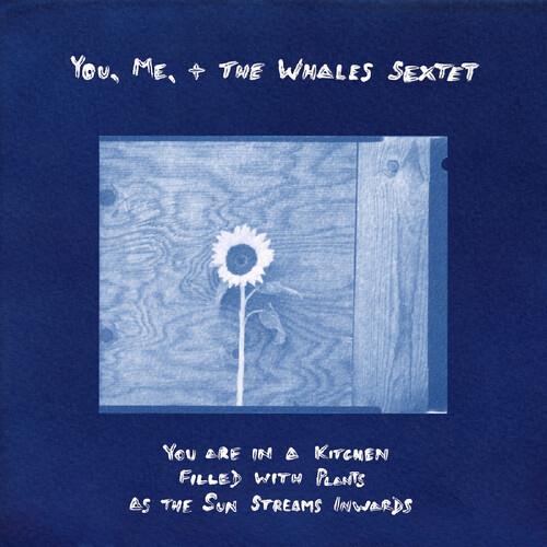 You are in a Kitchen Filled with Plants as the Sun Streams Inwards - Vinyl LP