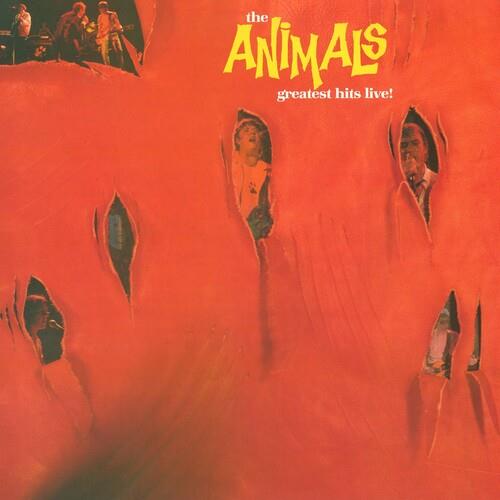 Greatest Hits Live - Vinyl LP (Blue)