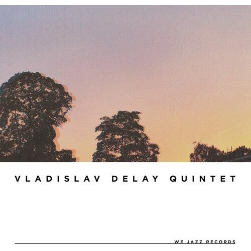 vd5 - Vinyl LP