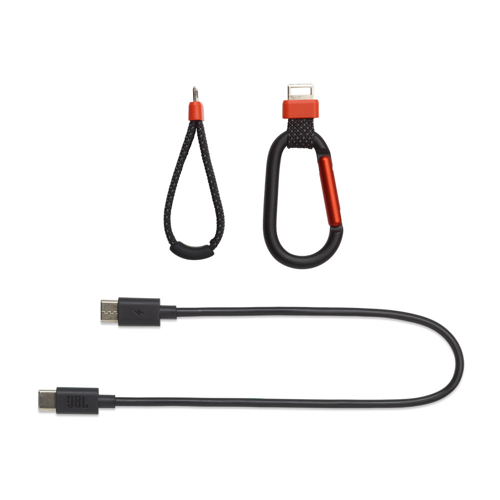 JBL FLIP 7 Waterproof Portable Speaker Bundle with gSport Carbon Fiber Case (Black)