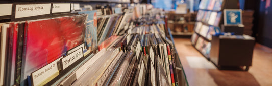 Vinyl records in plastic sleeves organized in bins with genre divider tabs