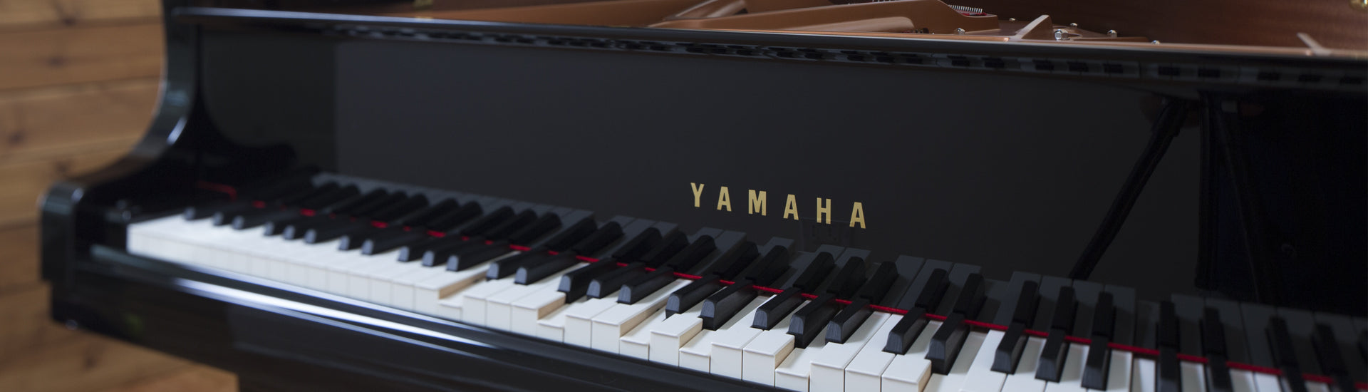 A Night of Live Jazz & Yamaha's Self-Playing Piano