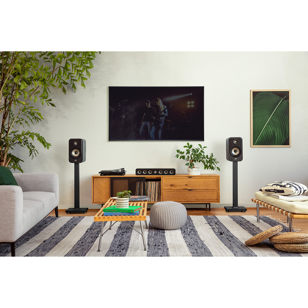 Polk Audio Signature Elite ES20 Bookshelf Speaker Cable Bundle (Black)