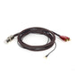 AudioQuest Golden Gate Turntable RCA Cable with Ground Wire - 4.92 ft. (1.5m)