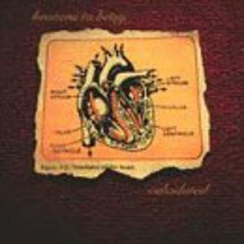 Calculated - Vinyl LP