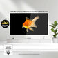 LG OLED65G5WUA 65" 4K UHD OLED evo G5 Smart TV