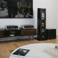 NAD Electronics M66 Master Series Streaming DAC-Preamplifier with BluOS