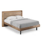 BDI Up-LINQ 9117 Queen Size Bed with Dual-Level Headboard, Dimmable Accent Lighting, and Integrated Power Stations (Natural Walnut)