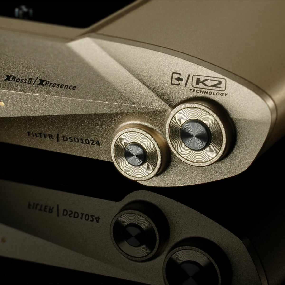iFi Audio iDSD Valkyrie Portable Amp & DAC