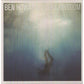 Every Kingdom - Vinyl LP