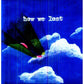 How We Lost - Vinyl LP