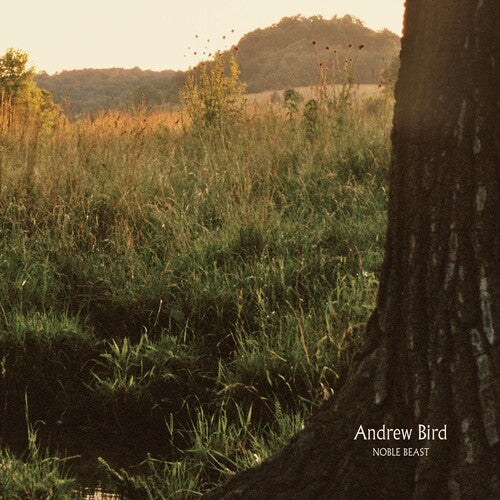 Noble Beast - Vinyl LP