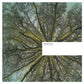 Fallen Arches - Vinyl LP
