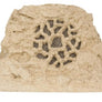 Sandstone