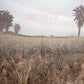 The Blue Depths - Vinyl LP
