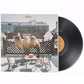 Wilco [The Album] [Bonus CD] - Vinyl LP