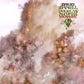 Sycamore - Vinyl LP
