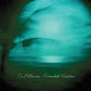 Extended Vacation - Vinyl LP